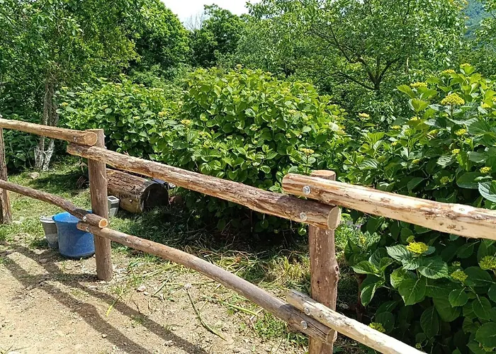 Beb La Patataia לינה וארוחת בוקר Bormida (Cuneo)